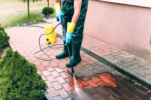 Best Roof Washing  in Luverne, AL